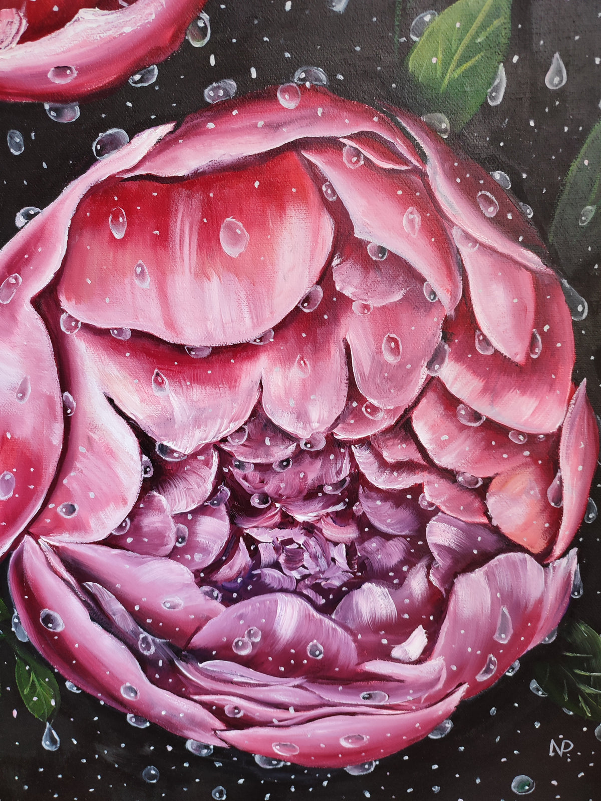 "Peonies in Drops" — Original Impressionistic Pink Peonies Oil Painting by Nataliia Plakhotnyk