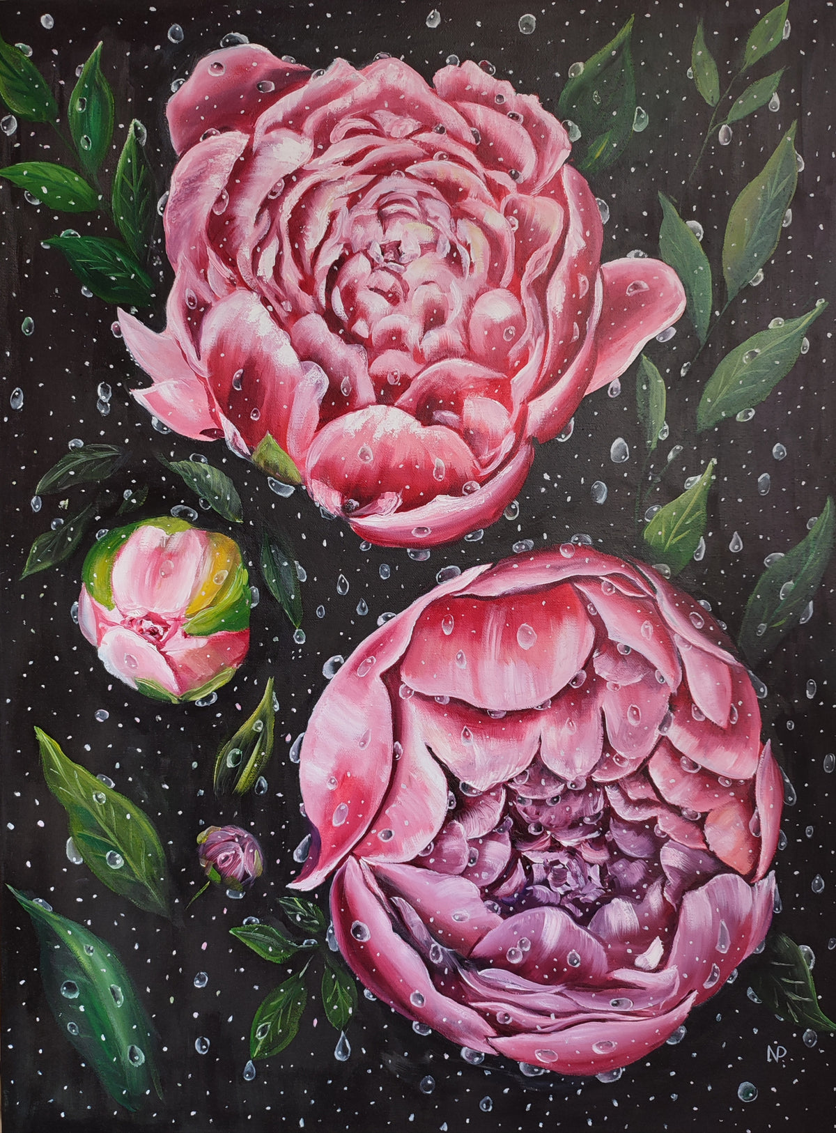 "Peonies in Drops" — Original Impressionistic Pink Peonies Oil Painting by Nataliia Plakhotnyk