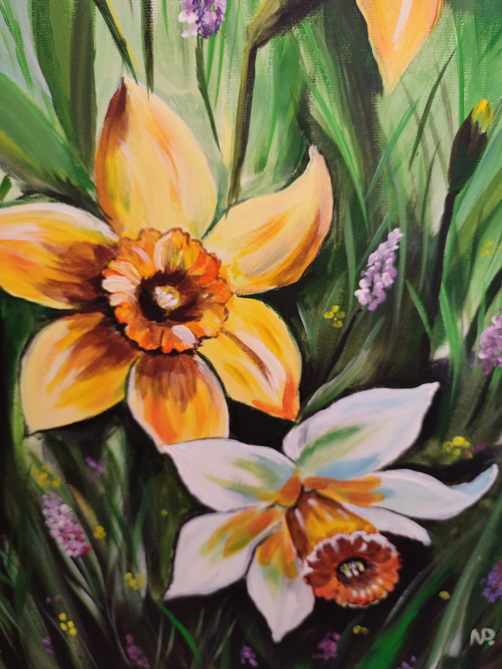 Spring flowers, daffodile, floral, spring