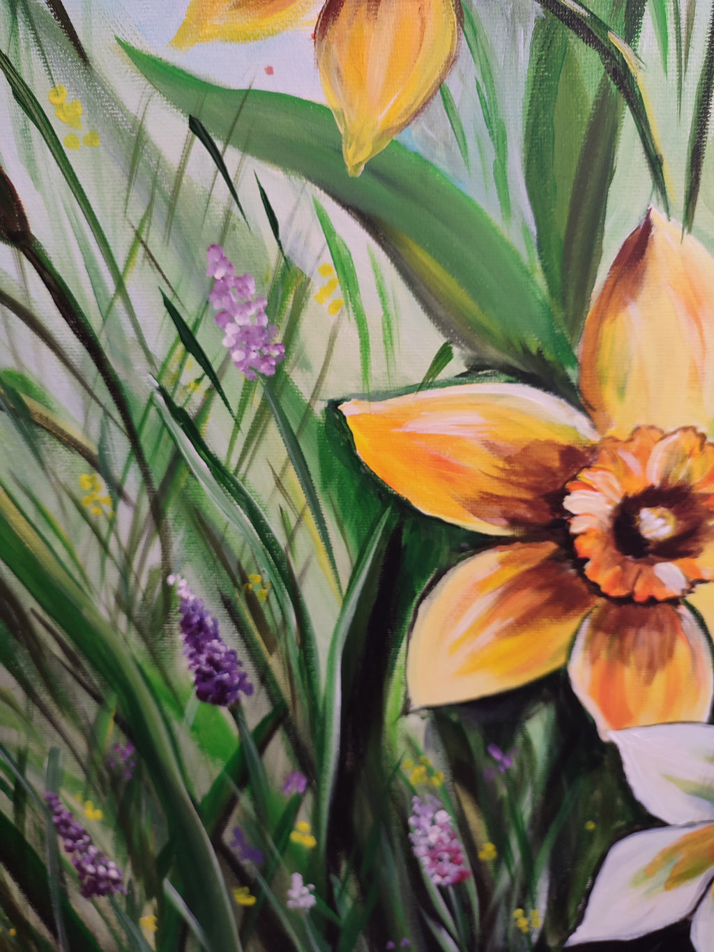 Spring flowers, daffodile, floral, spring